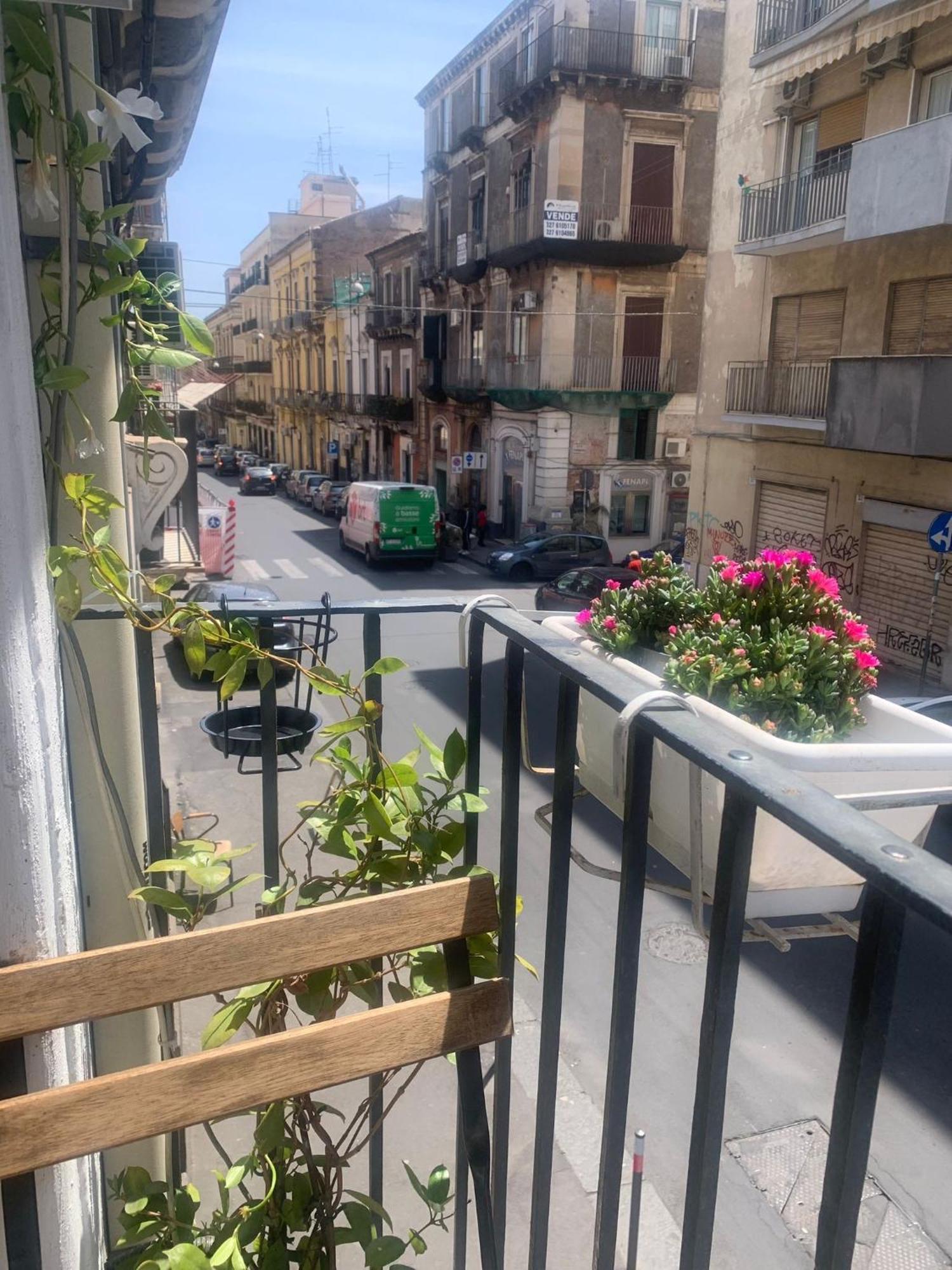 Nicaredda Westhouse Katanya Dış mekan fotoğraf
